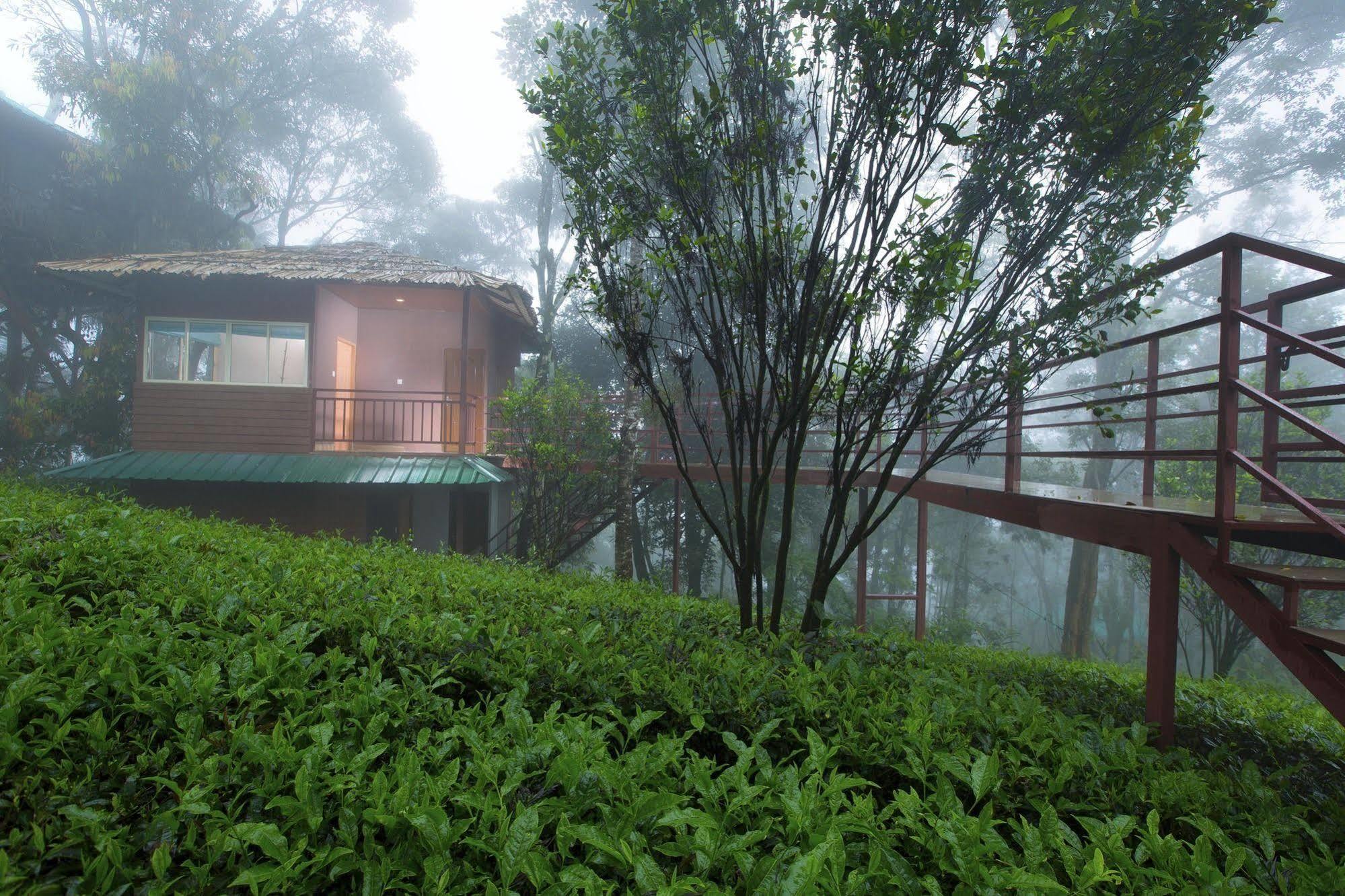 Dream Catcher Resort Munnar