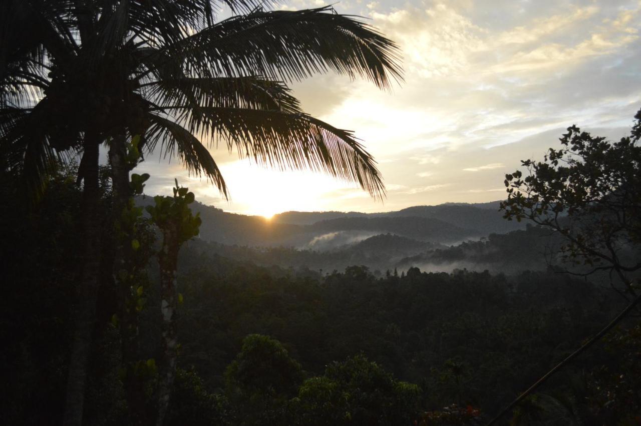 Homestay The Shade Munnar