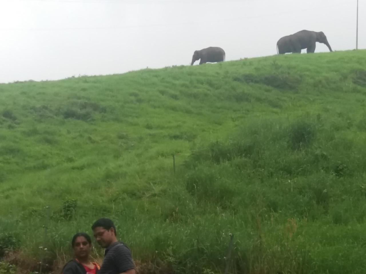 Monsoon Grande