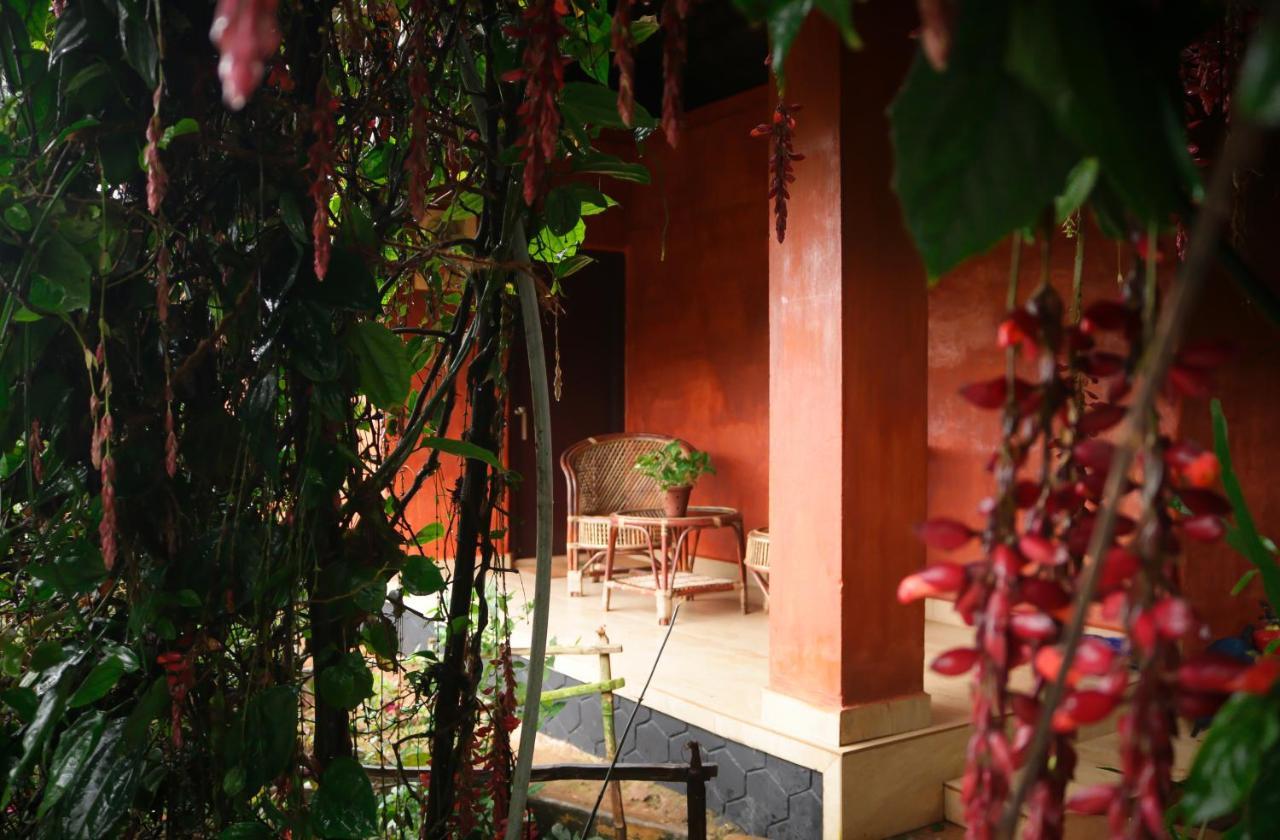 Ecotones By Eden Environs 3*