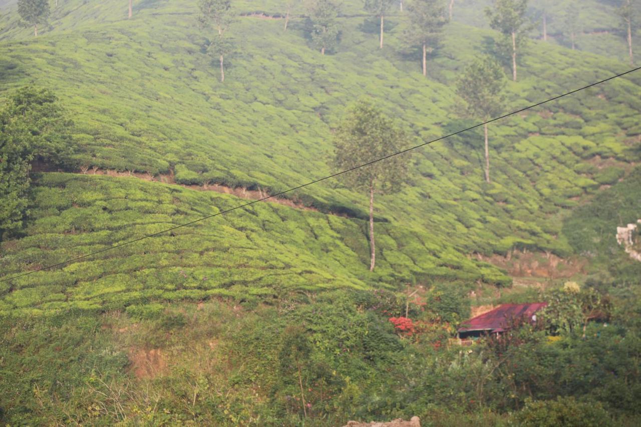 Casa Montana Munnar