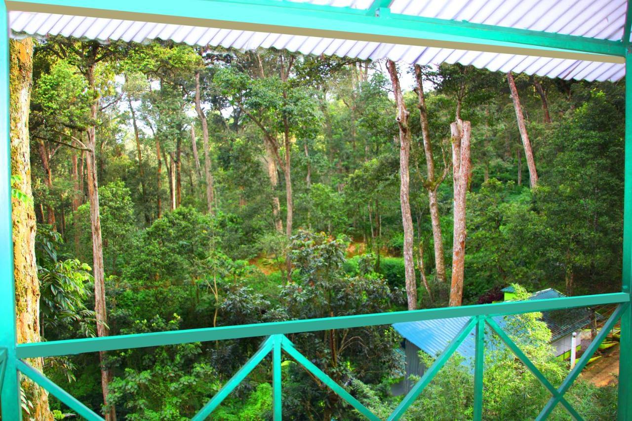 Single Tree Resort Munnar