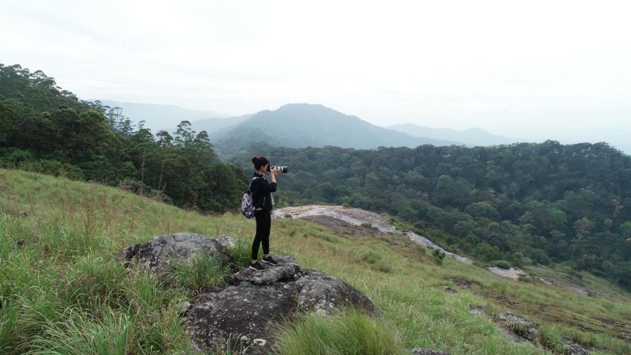 Resort Ayur County Munnar