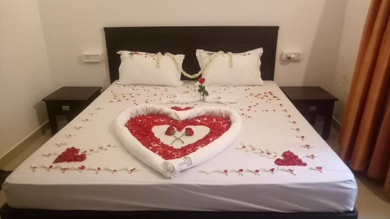 Single Tree Resort