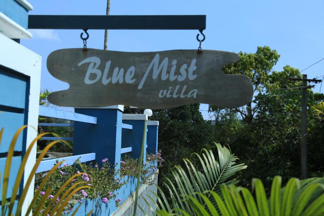 Blue Mist Bed & Breakfast Munnar