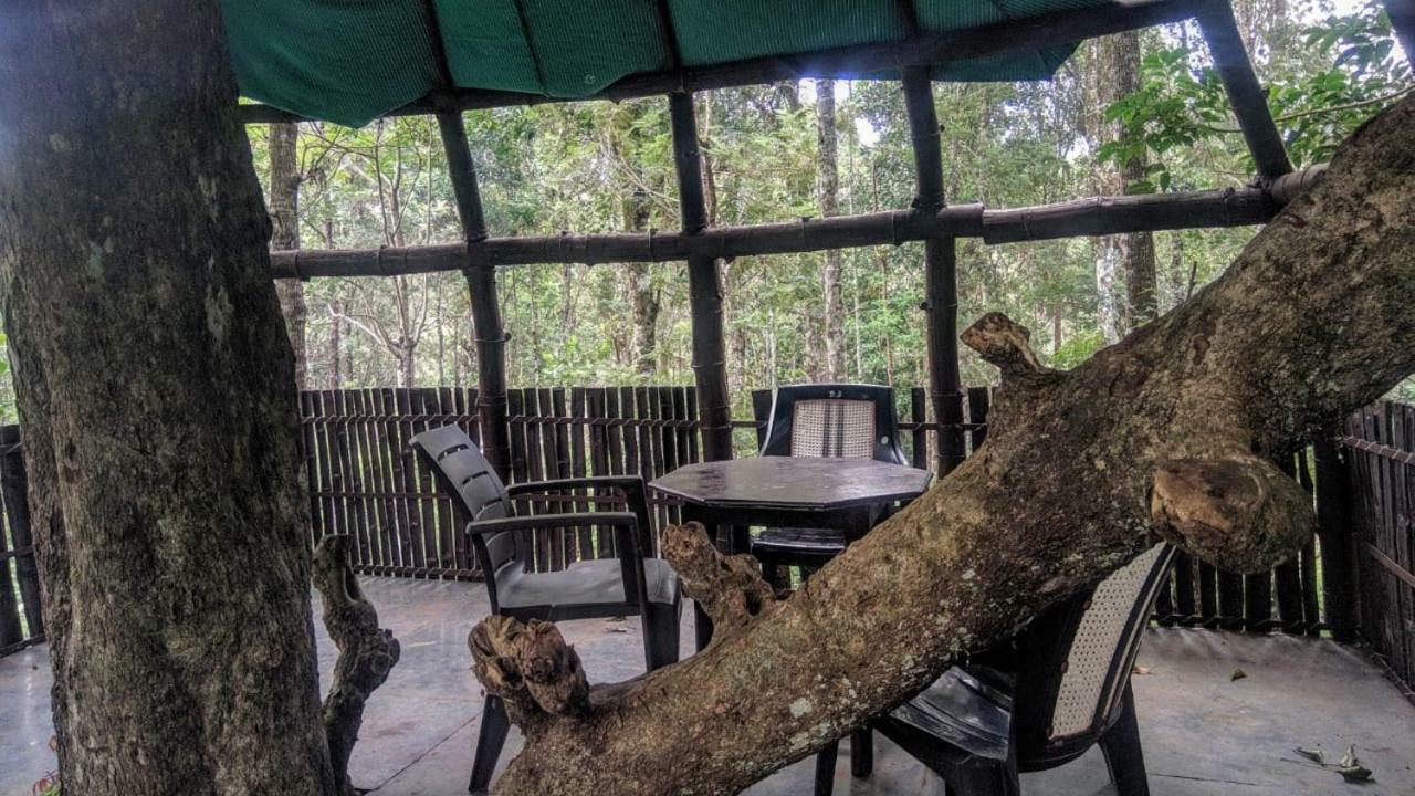 Bed & Breakfast Jungle Jive Tree House