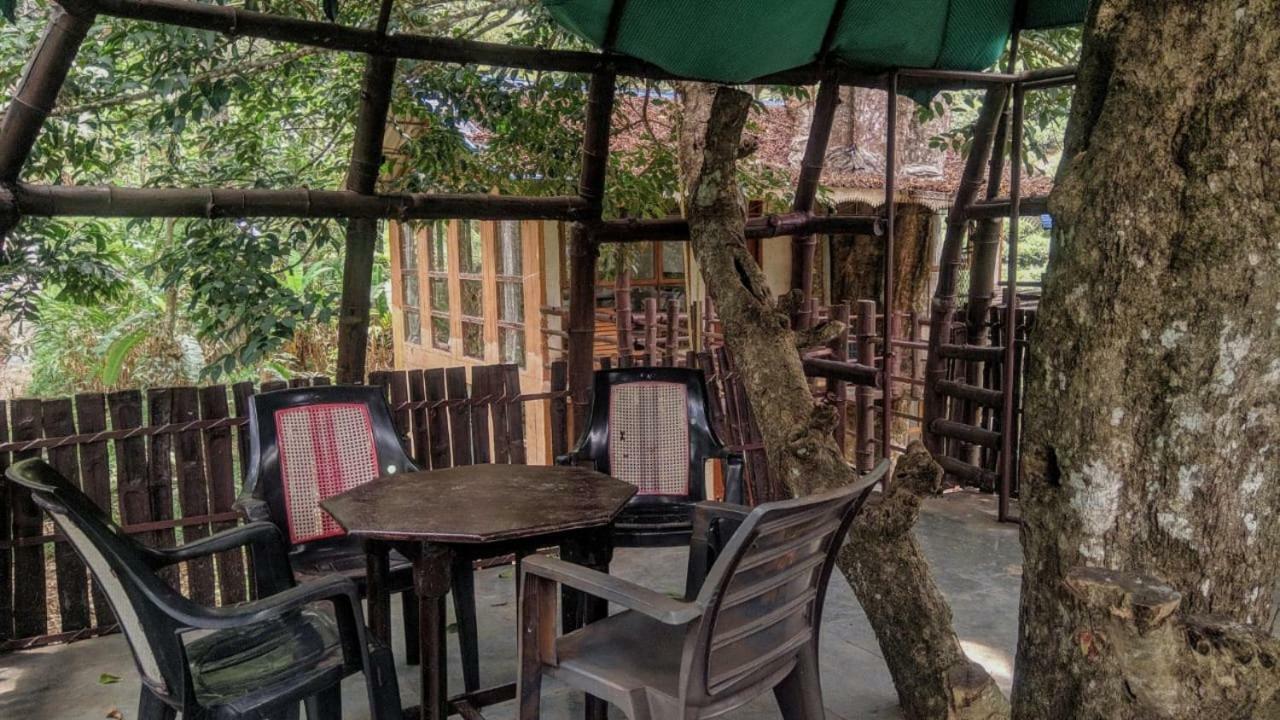 Jungle Jive Tree House Bed & Breakfast Munnar