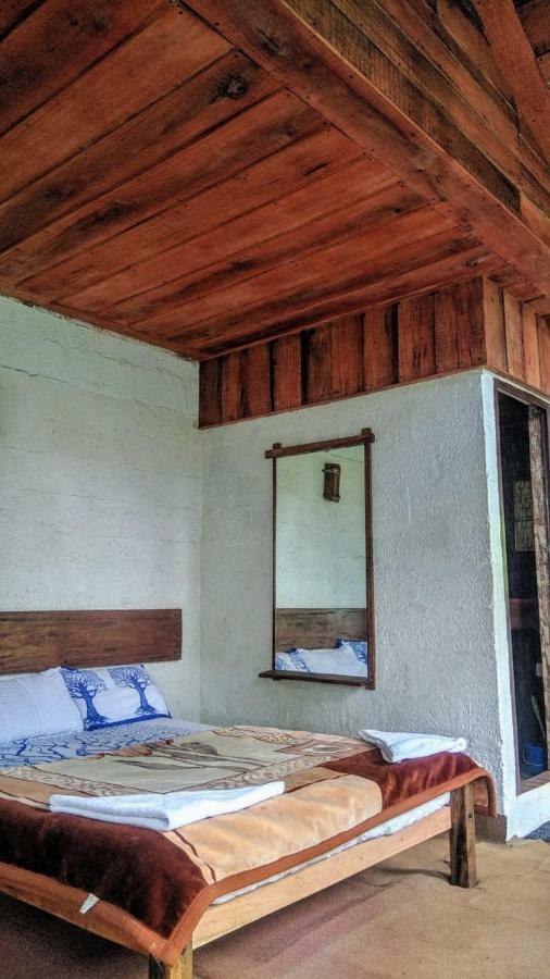 Bed & Breakfast Jungle Jive Tree House