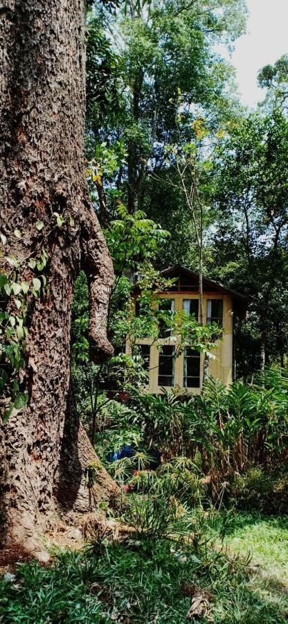 Jungle Jive Tree House Munnar