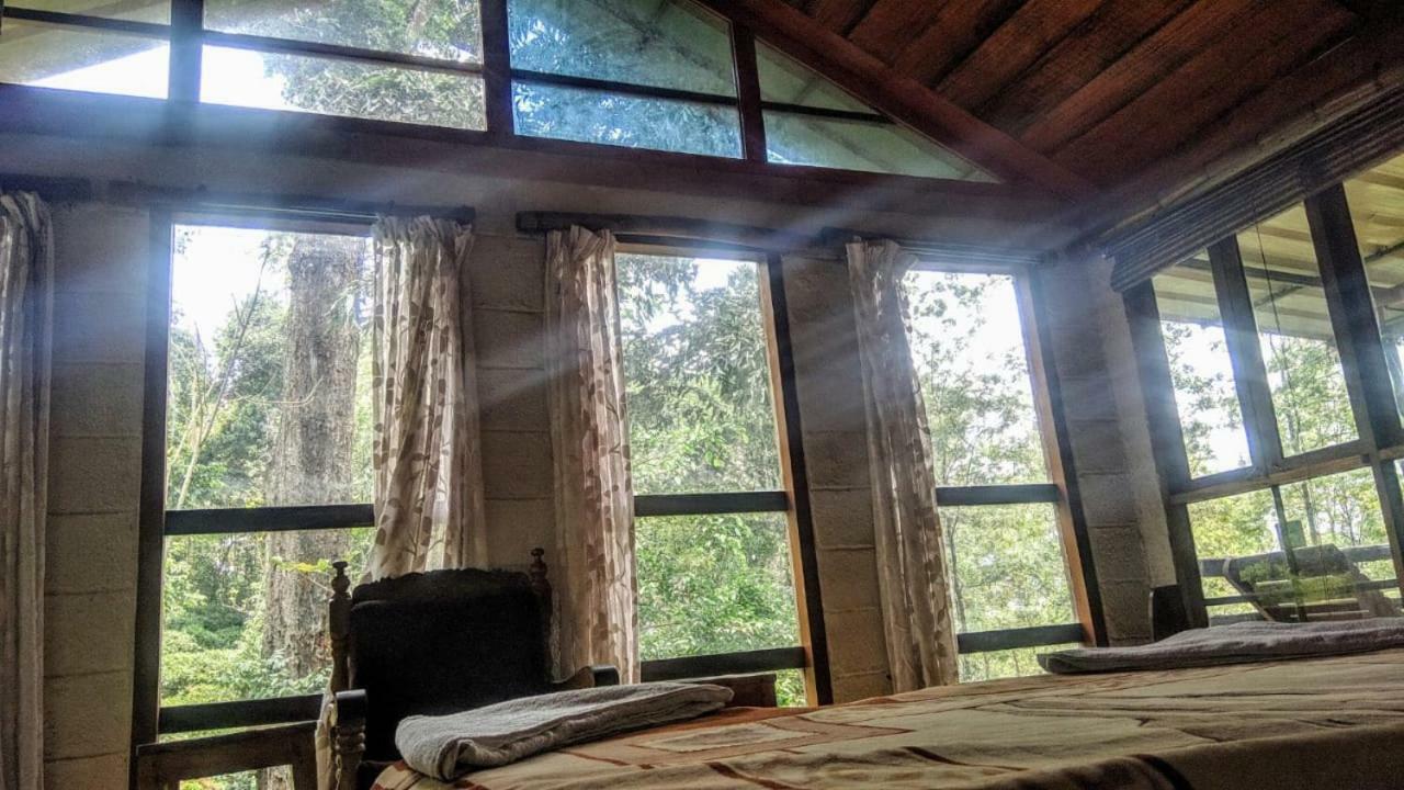 Jungle Jive Tree House 3* Munnar
