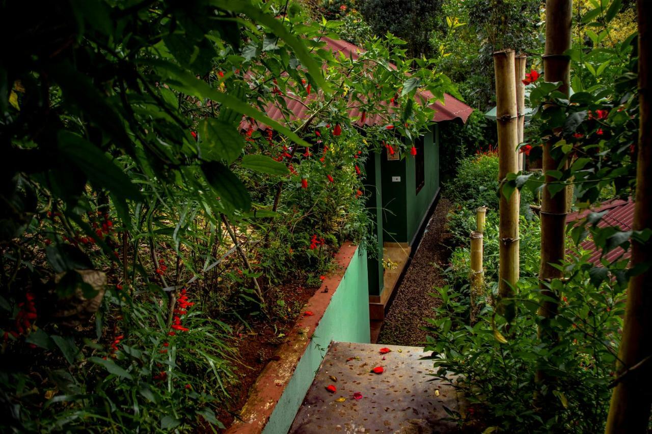 Resort Ecotones By Eden Environs