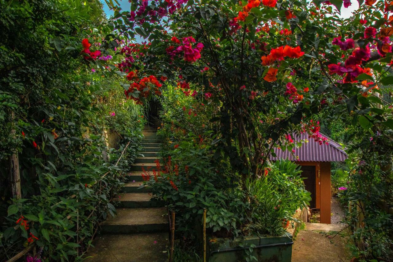 Resort Ecotones By Eden Environs Munnar