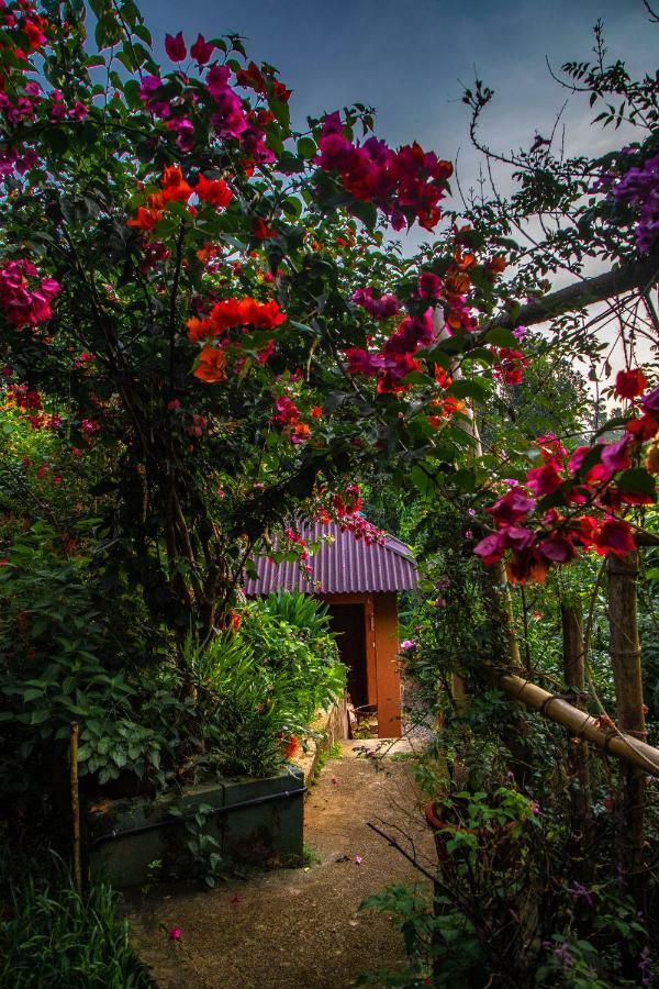 Ecotones By Eden Environs Resort 3*