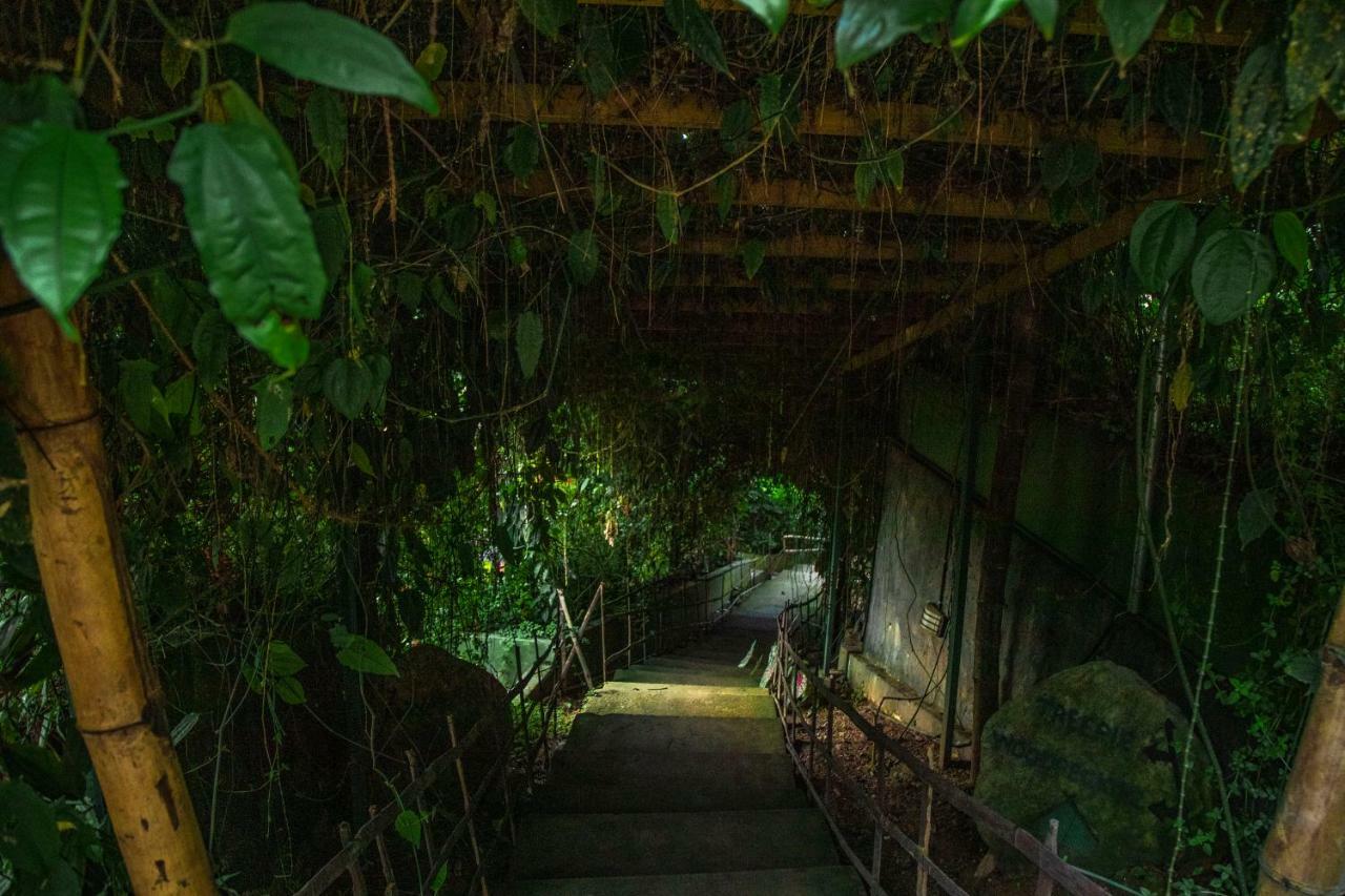Resort Ecotones By Eden Environs
