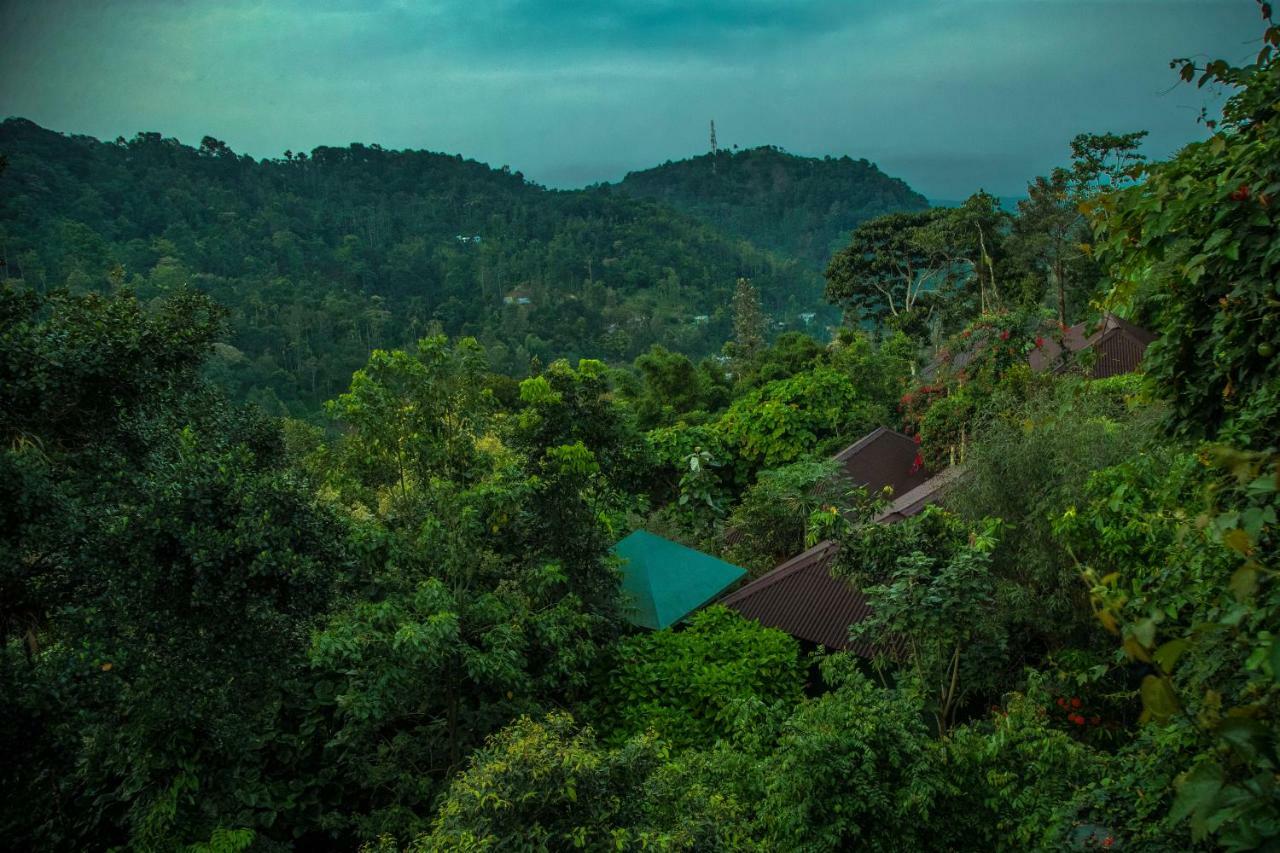 Ecotones By Eden Environs Resort