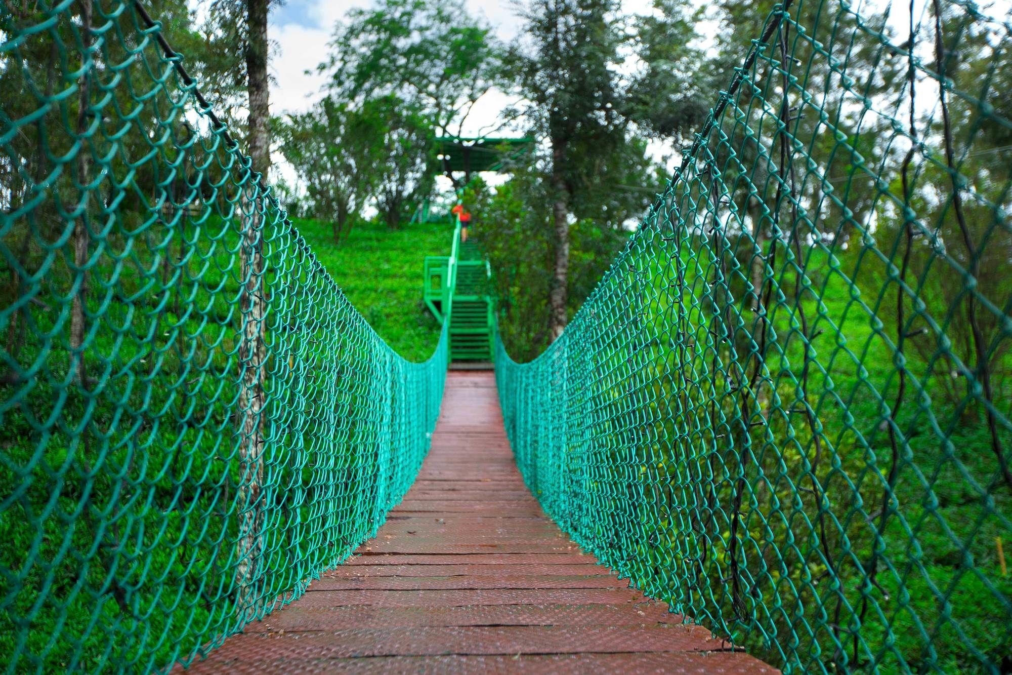 Dream Catcher Plantation 4* Munnar