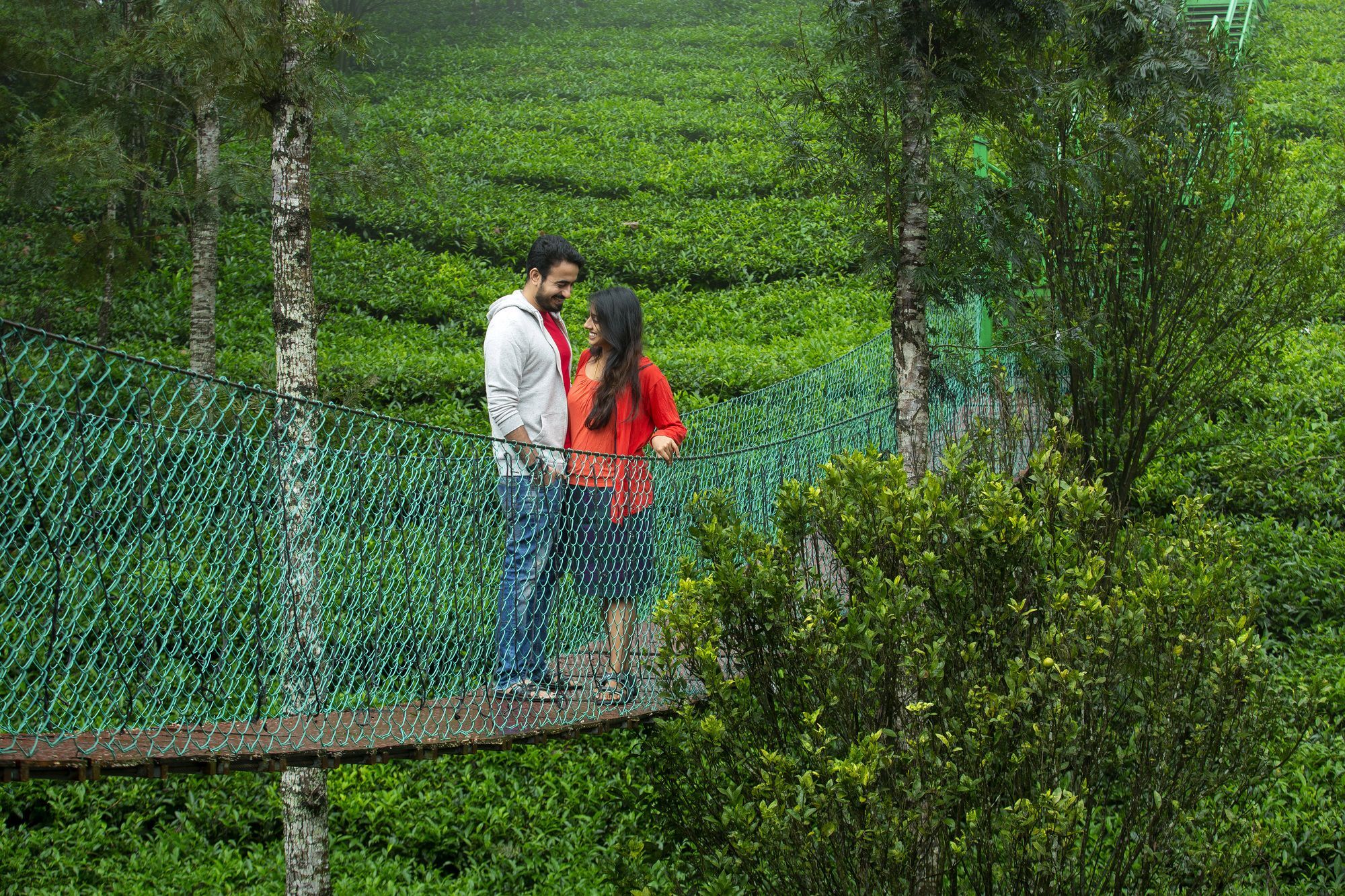 Resort Dream Catcher Plantation