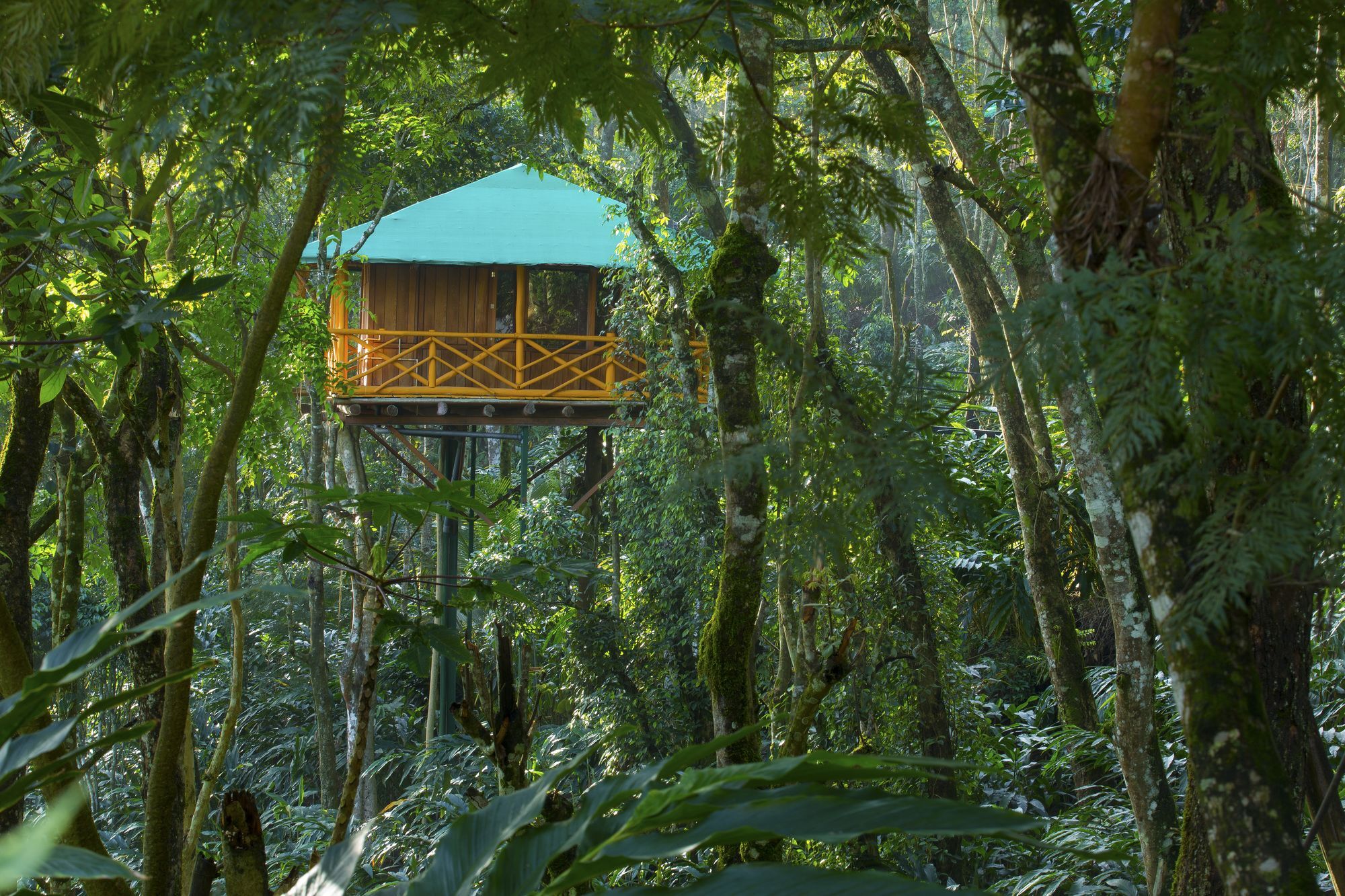 Dream Catcher Plantation 4*