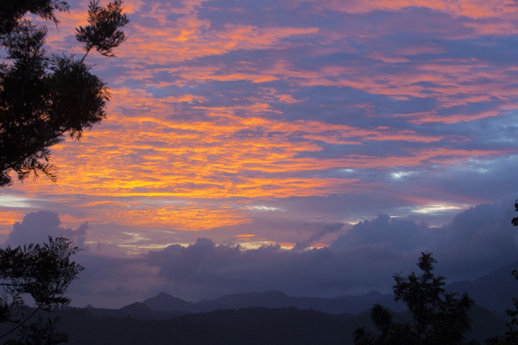 Dream Catcher Plantation 4* Munnar