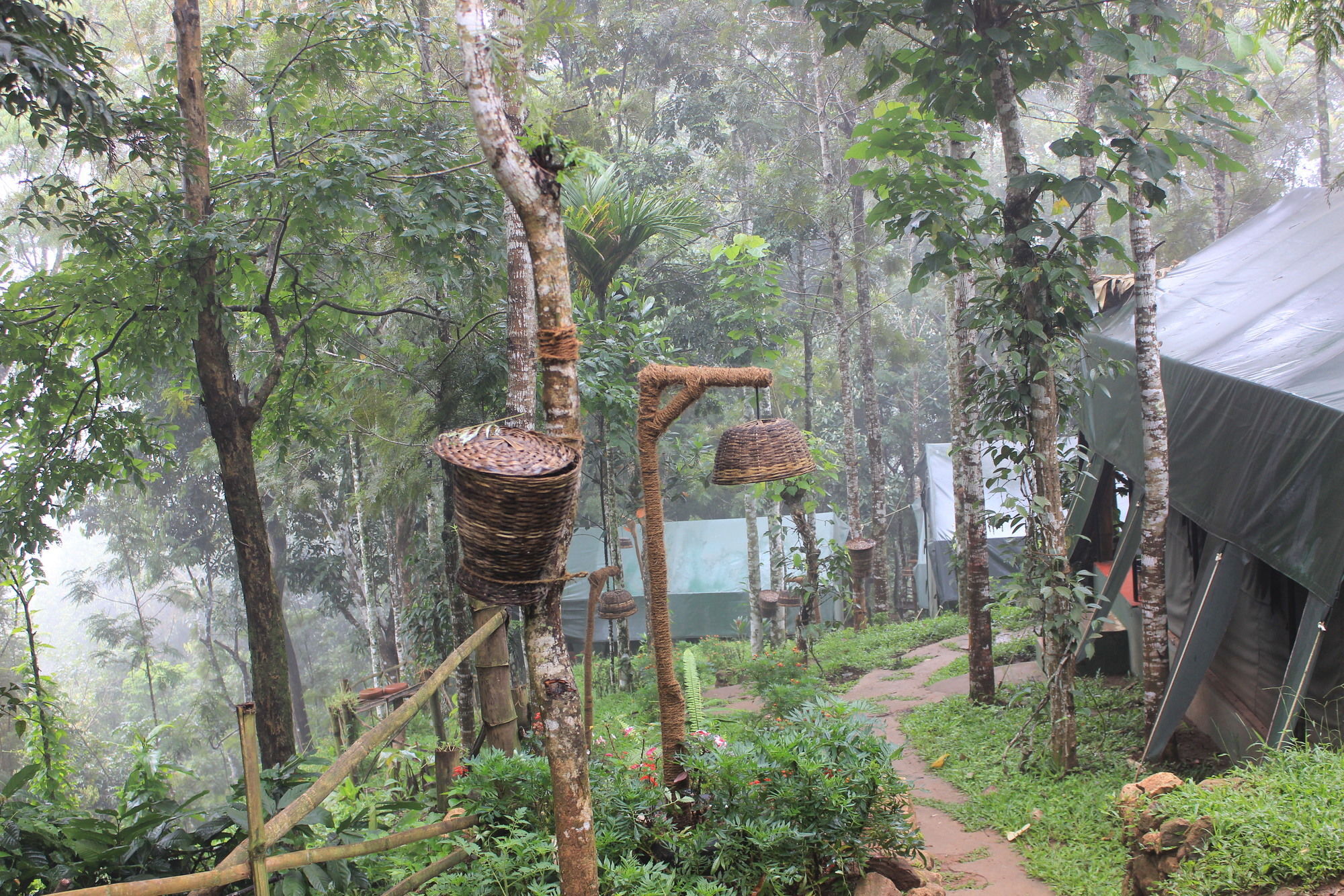Season7 The Nature 3* Munnar
