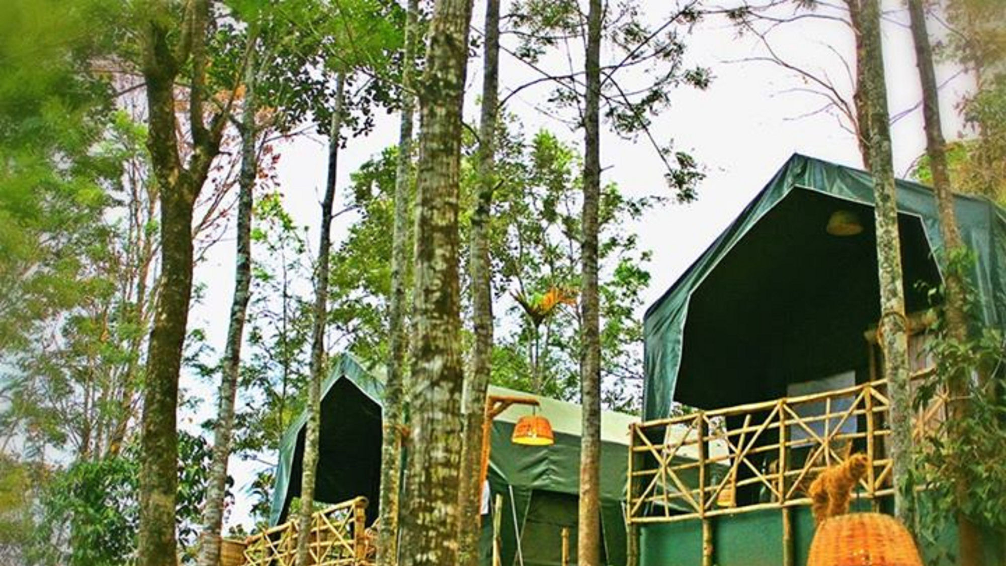 Season7 The Nature 3* Munnar