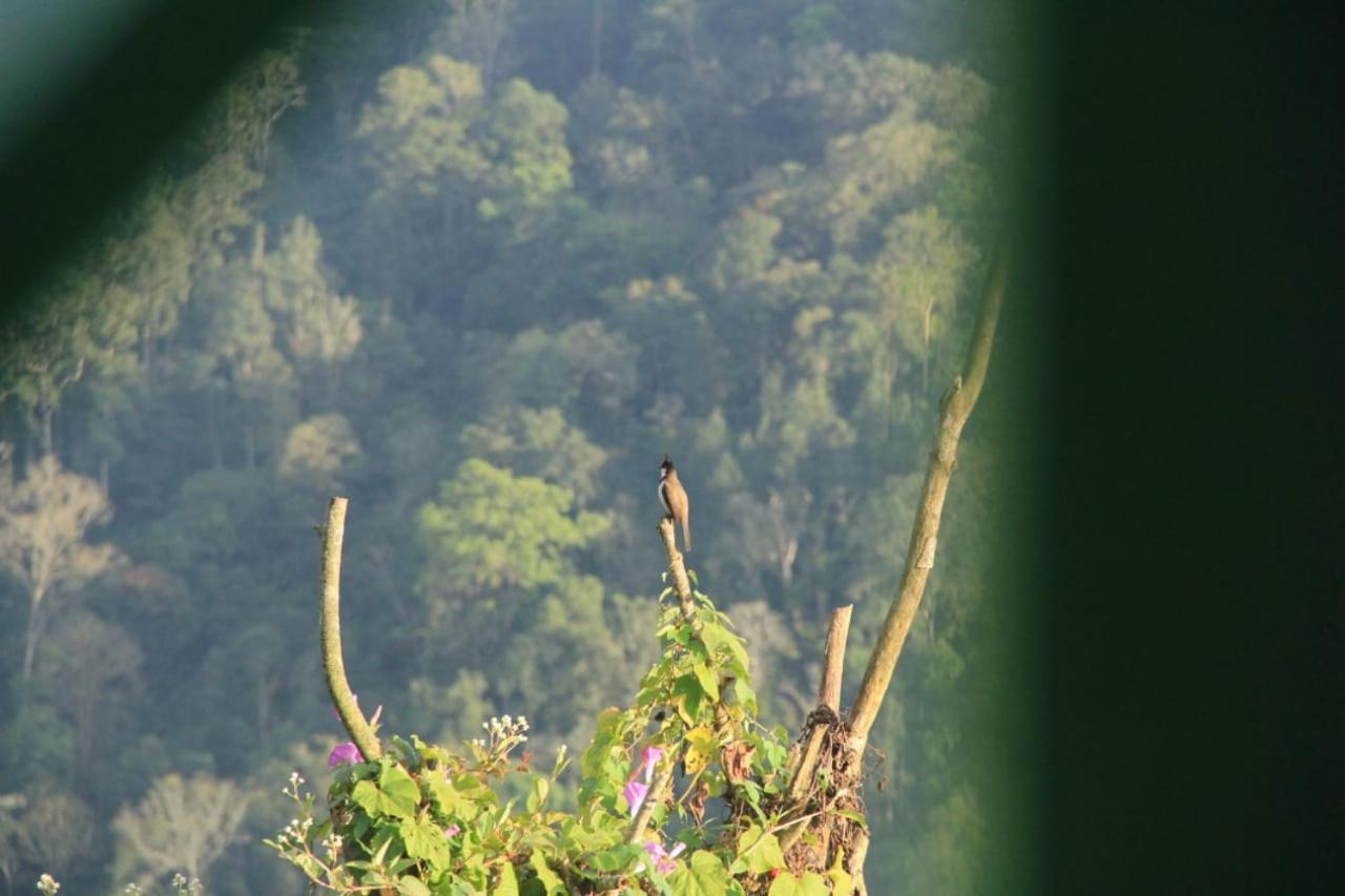 The Spot Inn * Munnar