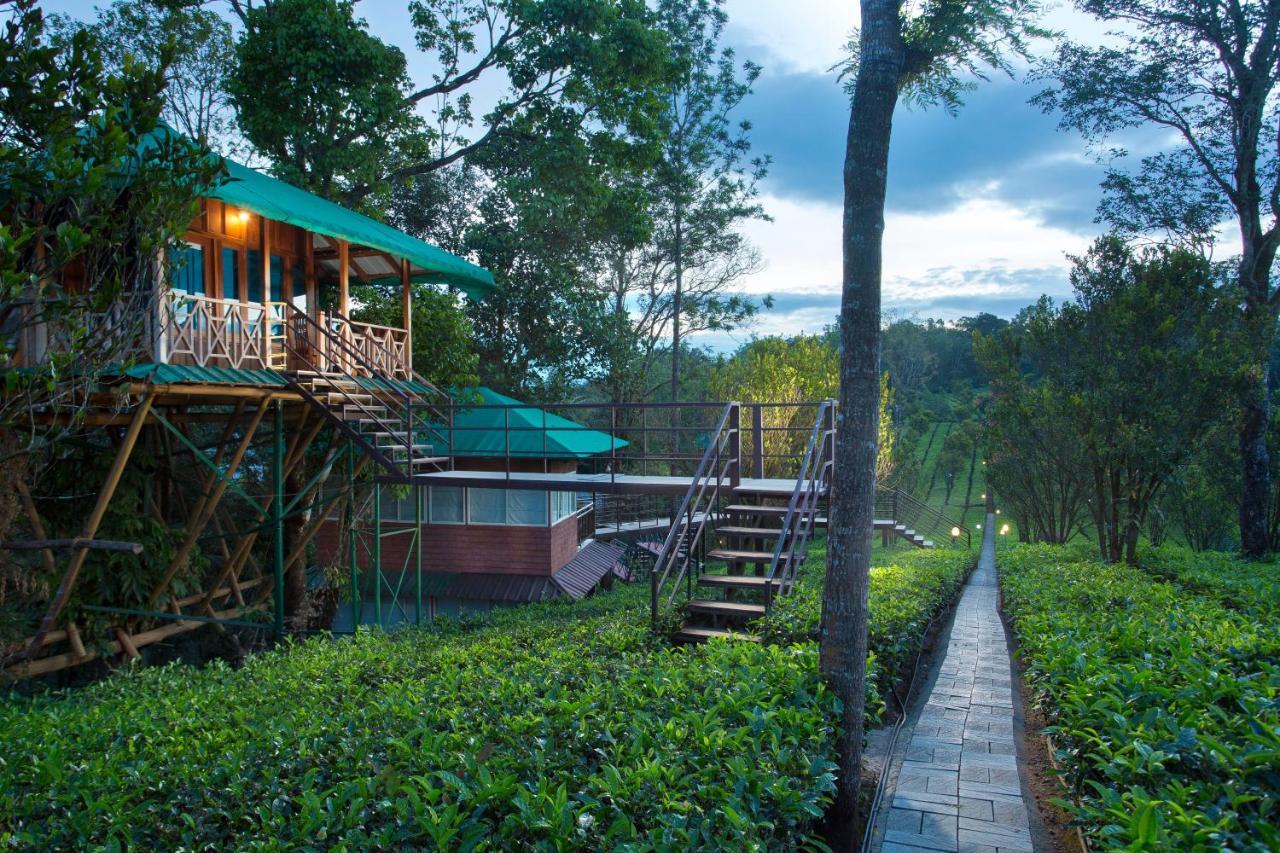 Dream Catcher Plantation