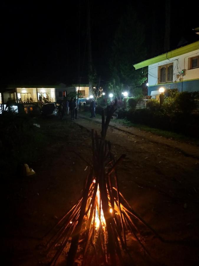 Resort Single Tree *
