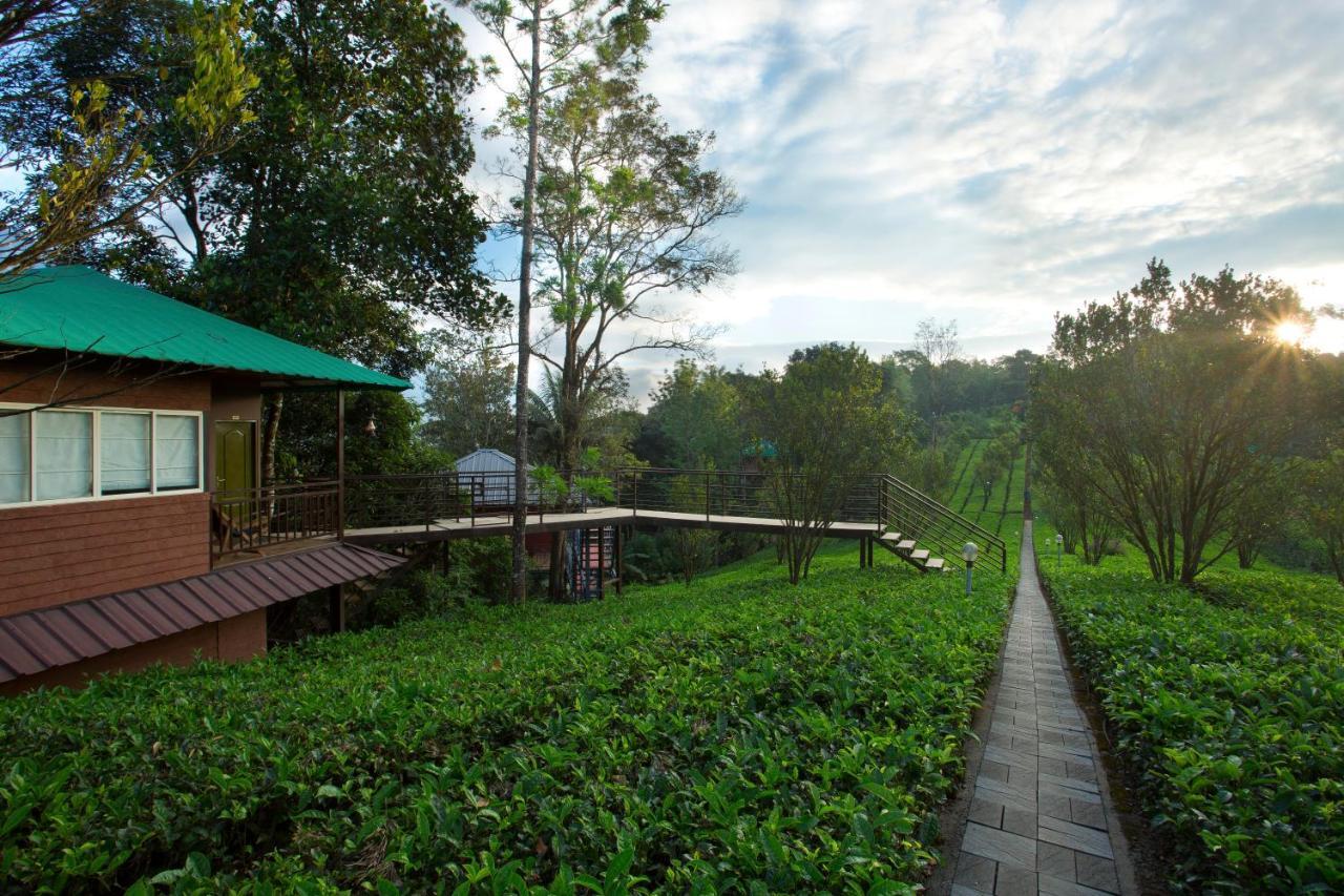 Dream Catcher Plantation Resort Munnar