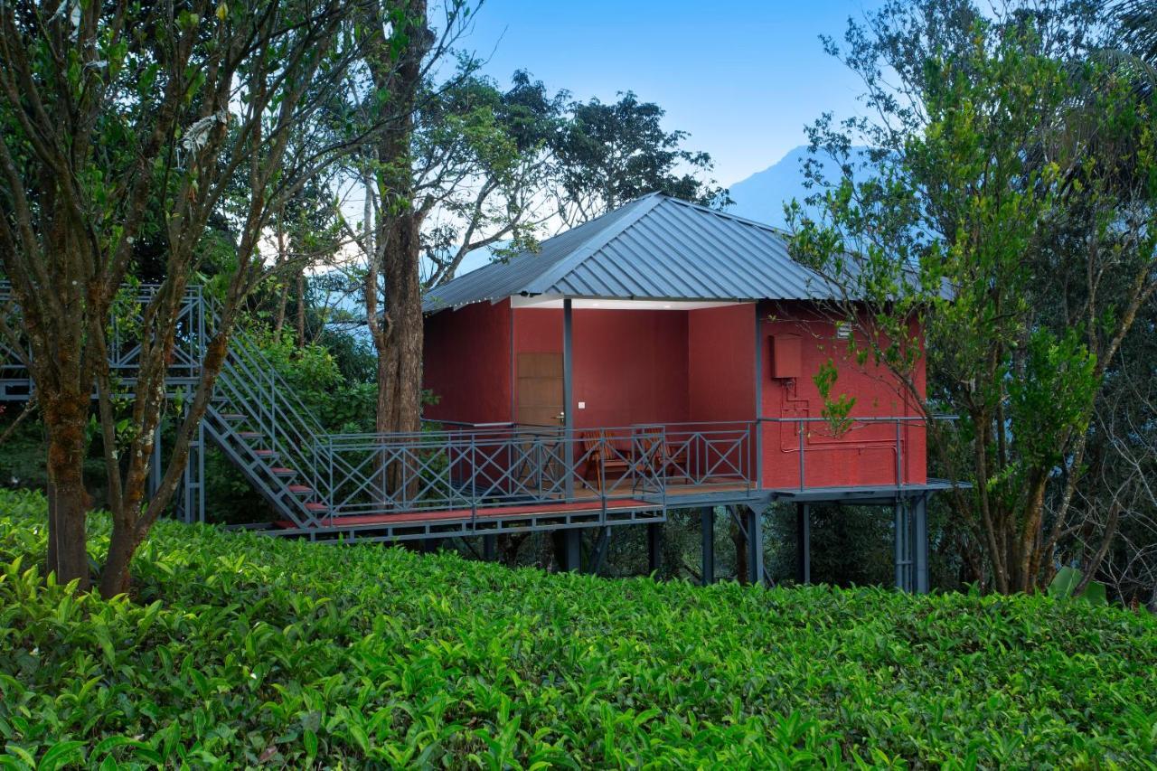 Dream Catcher Plantation