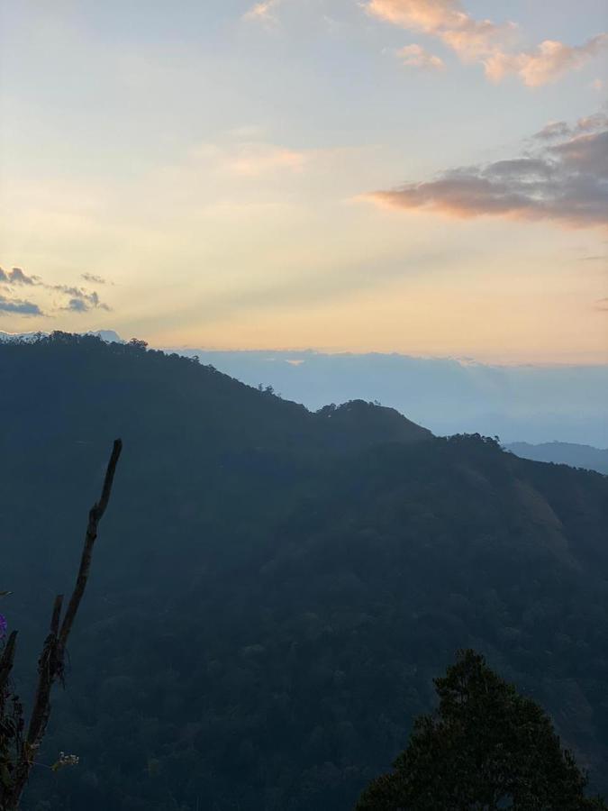 The Spot Inn * Munnar