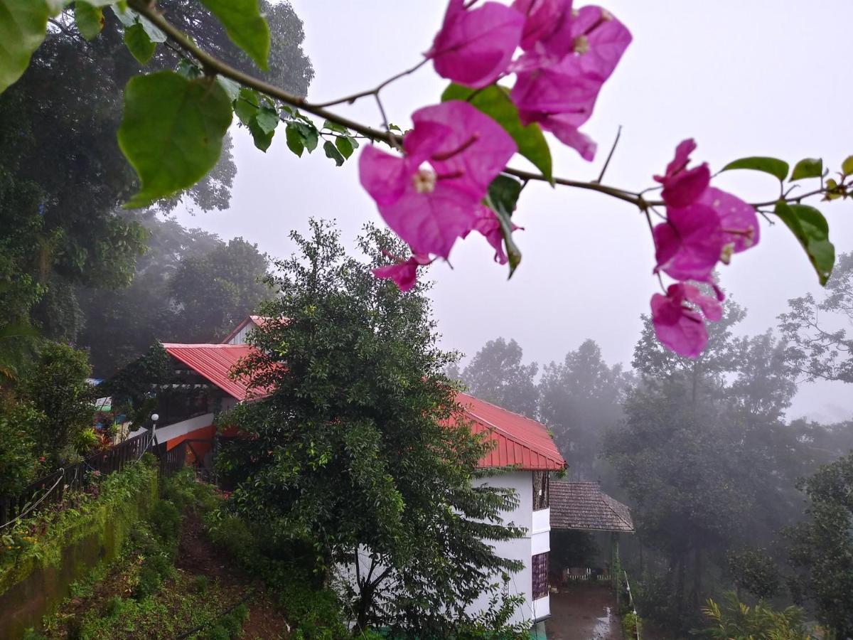 Apple Hotel Munnar