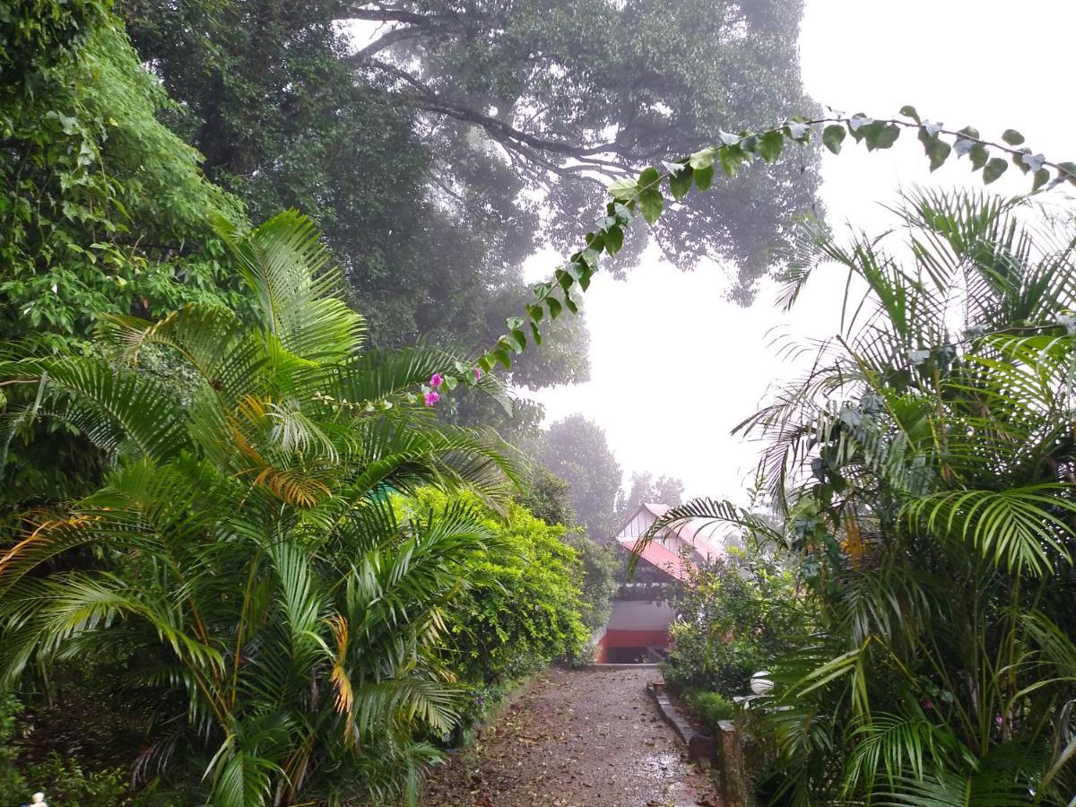 Hotel Apple Munnar