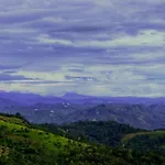 Wild Mist Homestay