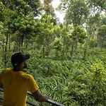 Spice Jungle Resort