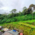 Munnar Kaippalli Budget Homestay
