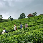 Amber Dale Luxury Hotel & Spa, Munnar