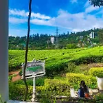 Tea Harvester