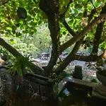 Tea Harvester