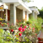 Elysium Garden