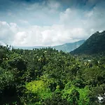 Oyo 9678 Hotel Misty Garden