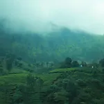 Blanket Hotel & Spa