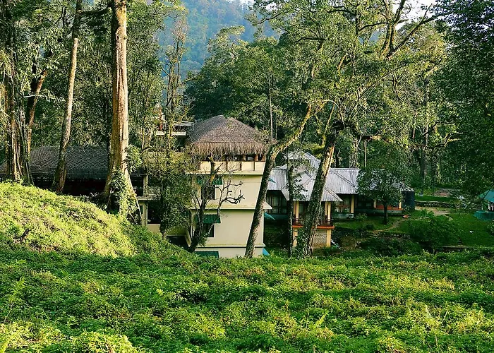 Deep Woods Resort