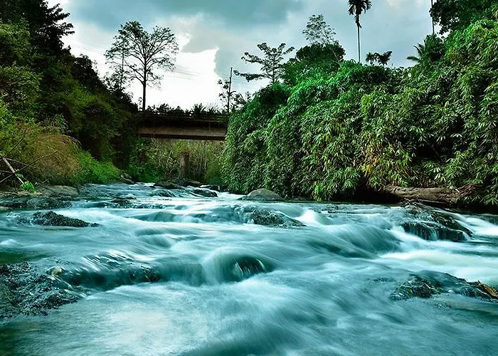 Rivertree Munnar