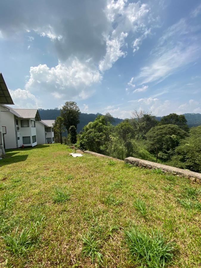 Mannoor Farms Mountain View Stays, * Munnar