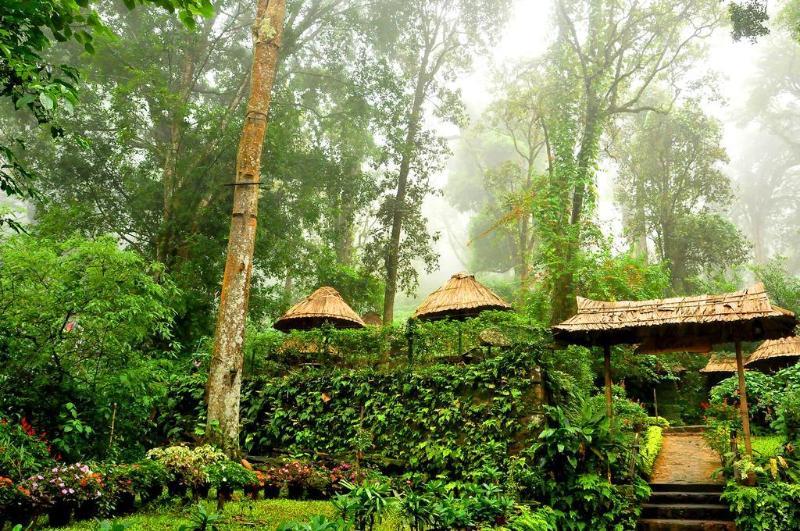 The Tall Trees 4* Munnar