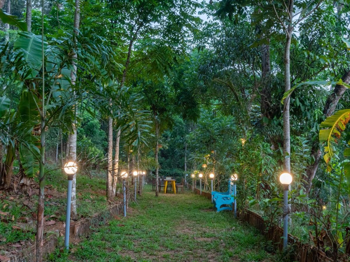 Gostops Hostel