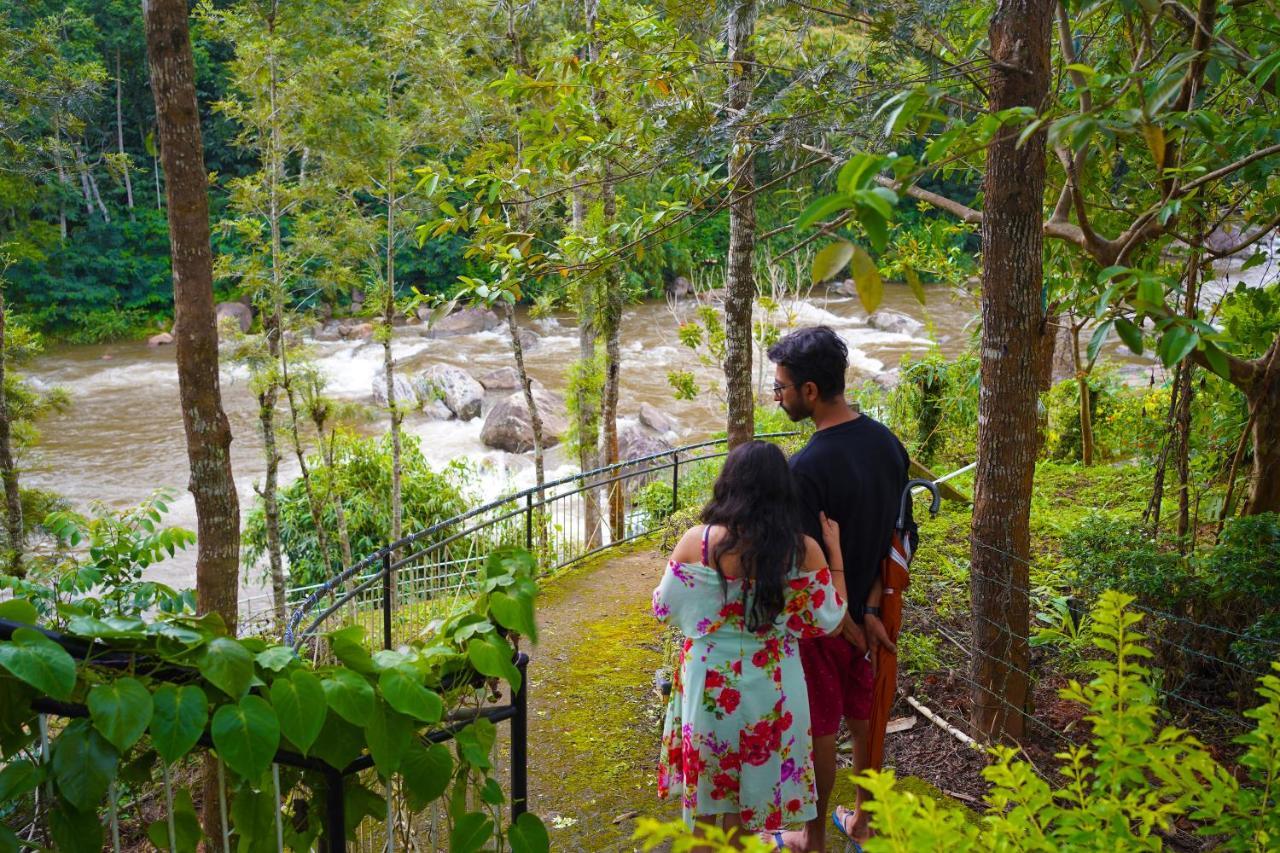 Rivulet Resort Munnar