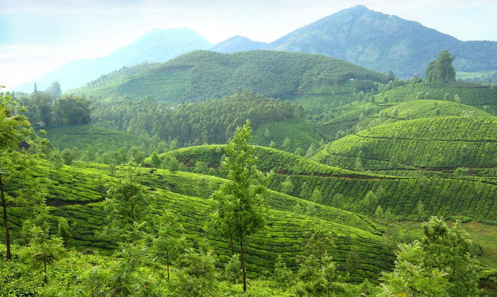 Resort Elysium Garden Munnar