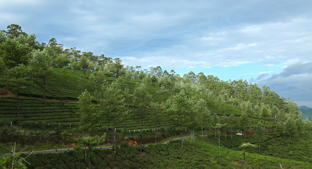Elysium Garden 3*
